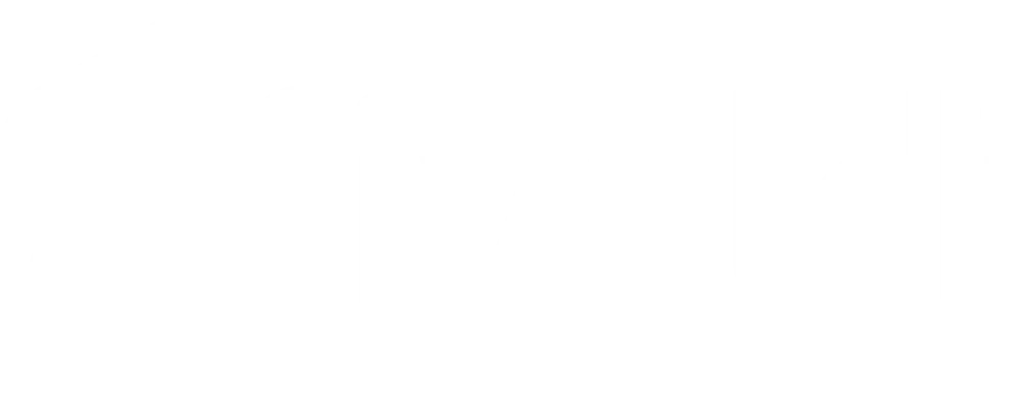 Fivaldi Logo